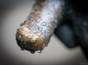 20121006-Namur-013-LD.jpg